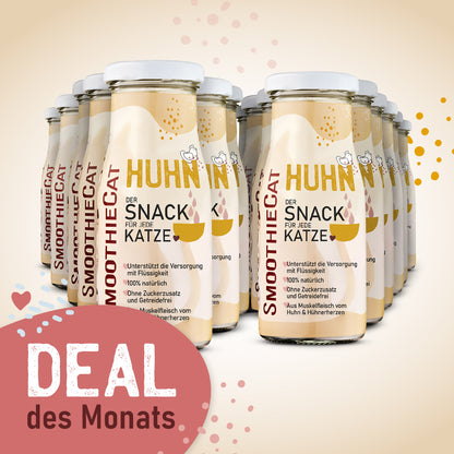 SmoothieCat Deal des Monats