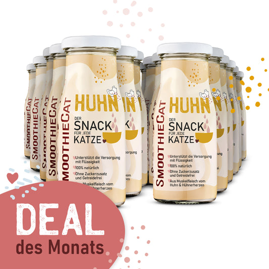 SmoothieCat Deal des Monats
