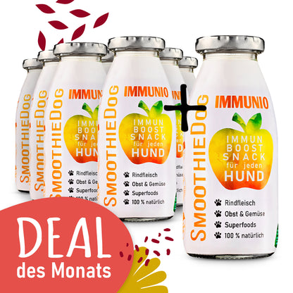 SmoothieDog Deal des Monats September