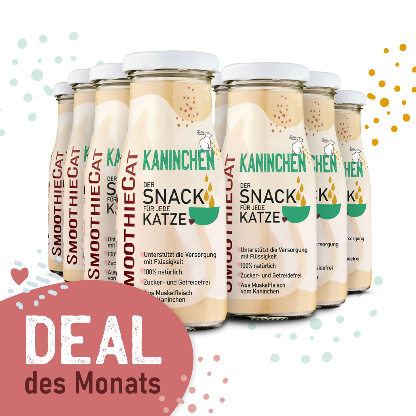 SmoothieCat Deal des Monats