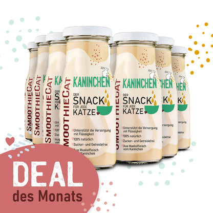 SmoothieCat Deal des Monats