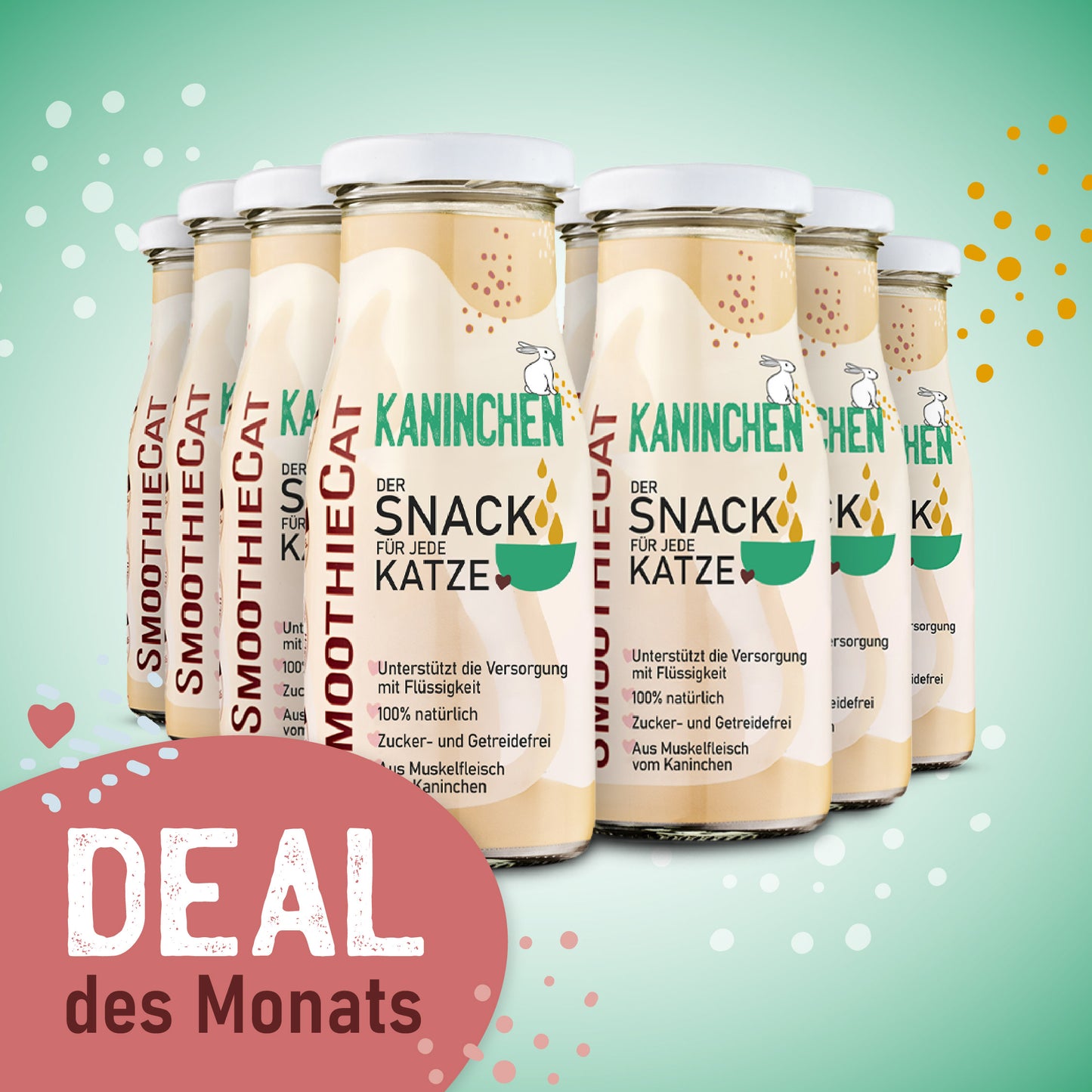 SmoothieCat Deal des Monats
