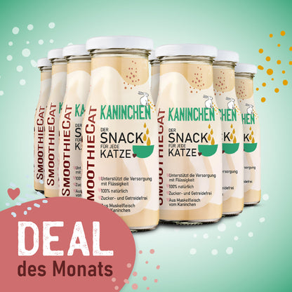 SmoothieCat Deal des Monats