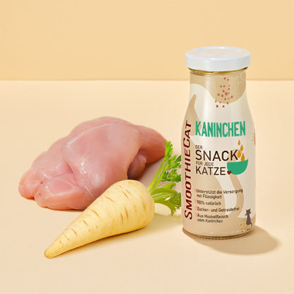 SmoothieCat Deal des Monats