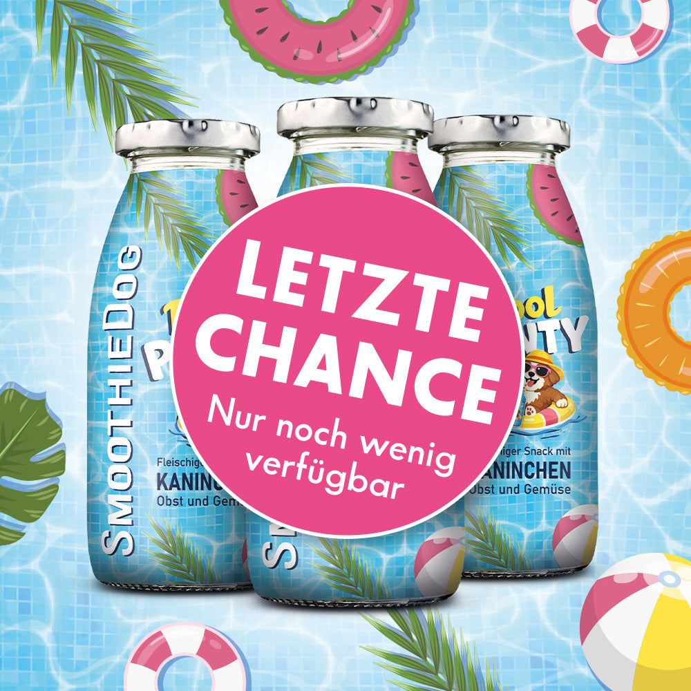 Produktbild der SmoothieDog Summer Edition „Pool Pawty“ (Kaninchen): Mehrere Flaschen des Hundesmoothies mit blauem Pool-Design und sommerlichen Elementen sind nebeneinander dargestellt. Die Sorte mit Kaninchen, Obst und Gemüse eignet sich als erfrischender Snack für Hunde.