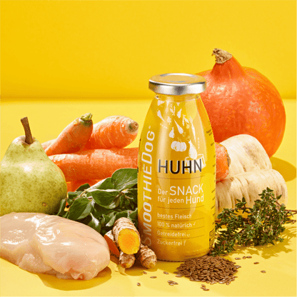Einzelflasche Hundesmoothie Huhn