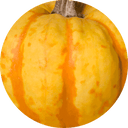 Nahaufnahme eines gelb-orange gestreiften Kürbisses mit gut sichtbarem Stielansatz – die leuchtende Farbe und natürliche Maserung zeigen die Frische und Herbstlichkeit dieses vielseitigen Gemüses.