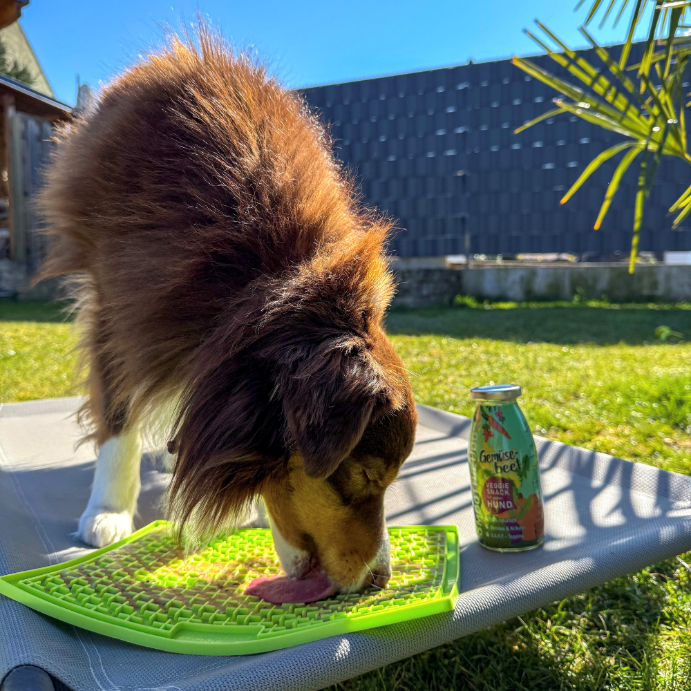 Schleckmatte Hund - LickiMat Buddy Large