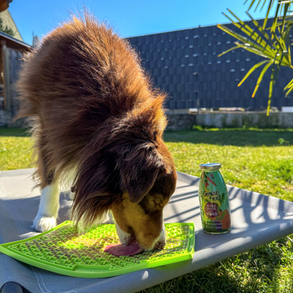 Schleckmatte Hund - LickiMat Buddy Large