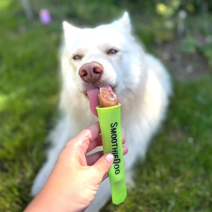 Ein großer, weißer Hund schleckt genüsslich an einem gefrorenen Hundesmoothie in einer grünen SmoothieDog-Eisform. Die Form wird von einer Hand gehalten, im Hintergrund ist unscharf eine grüne Wiese zu sehen – perfekte Abkühlung für heiße Sommertage. Verfügbar im 3er Pack oder 6er Pack.