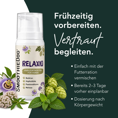 SmoothieDog Silvester-Bundle Sensitivo – Komplettset