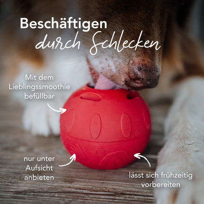 SmoothieDog Silvester-Bundle Sensitivo – Komplettset