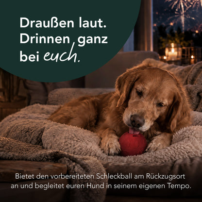 SmoothieDog Silvester-Bundle Sensitivo – Komplettset