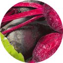 Frisch geerntete Rote Bete mit kräftig violetter Schale und sattgrünen Blättern – eine farbintensive, natürliche Quelle für Vitamine, Ballaststoffe und sekundäre Pflanzenstoffe. Ideal als nährstoffreiche Zutat im Hundesmoothie.