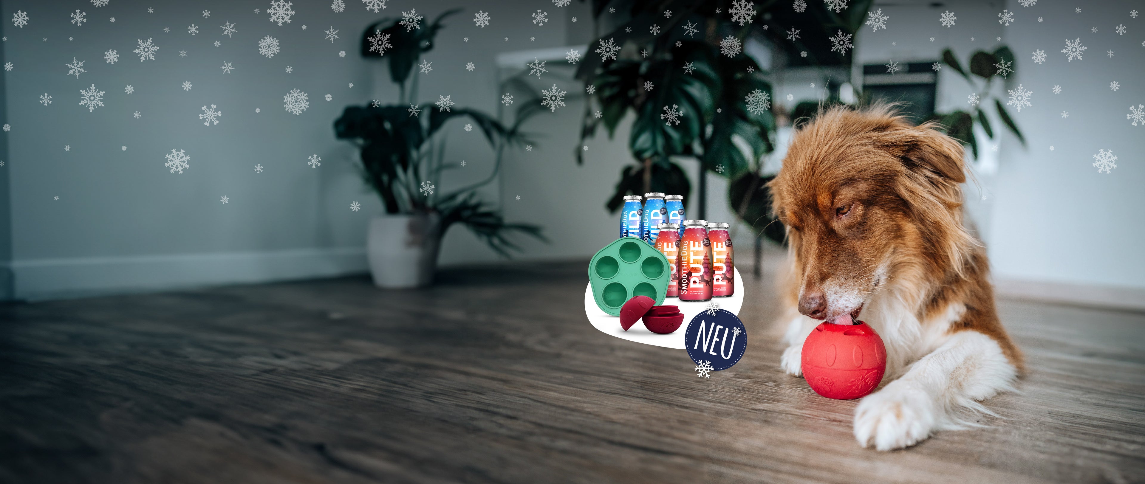 Ein Hund schleckt am roten Schleckball, daneben stehen die SmoothieDog Winter-Editionen Wild und Pute sowie eine grüne Silikonform; im Bild ein ‚NEU‘-Hinweis und winterliche Schneeflocken.