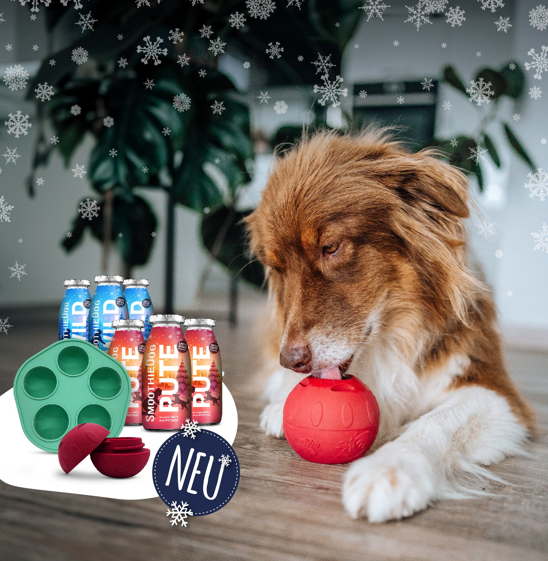 Ein Hund schleckt am roten Schleckball, daneben stehen die SmoothieDog Winter-Editionen Wild und Pute sowie eine grüne Silikonform; im Bild ein ‚NEU‘-Hinweis und winterliche Schneeflocken.