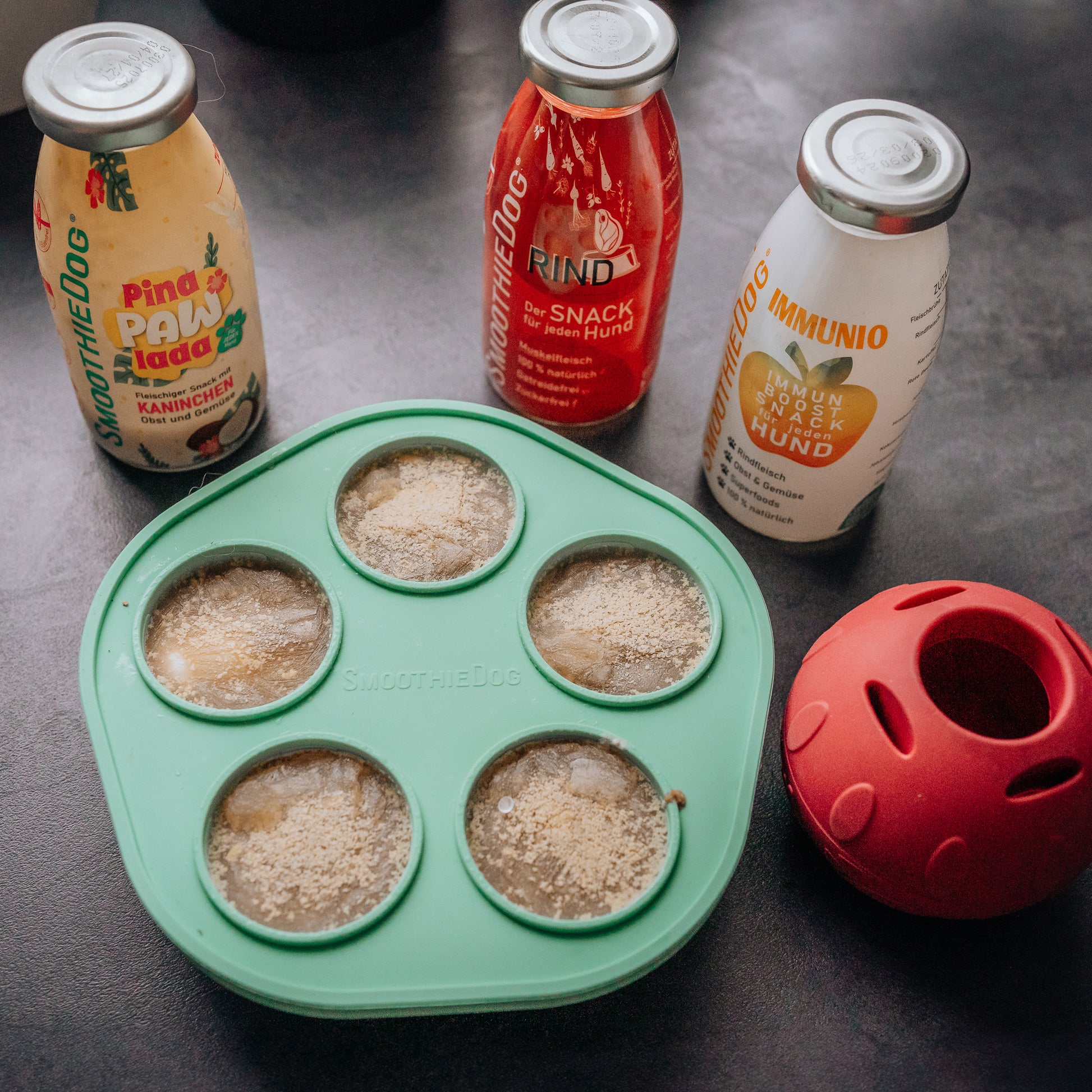 Silikonform von SmoothieDog mit gefrorenen Kugeln: Die grüne Eisform ist mit fünf gefrorenen Kugeln gefüllt, daneben steht ein roter Schleckball. Im Hintergrund sind verschiedene SmoothieDog Flaschen zu sehen. Das Bild illustriert die einfache Vorbereitung von Hundesnacks mit dem Set.