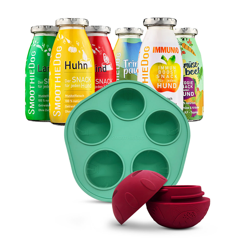 SmoothieDog Schleckball-Set: Im Vordergrund ist eine grüne Eisform aus Silikon mit fünf runden Mulden und ein roter, aufschraubbarer Schleckball für Hunde zu sehen. Im Hintergrund stehen sechs verschiedene SmoothieDog Flaschen mit bunten Etiketten – für jeden Hundegeschmack ist etwas dabei. Das Bild zeigt das Komplettset mit Smoothies, Form und Ball für eine abwechslungsreiche Beschäftigung.