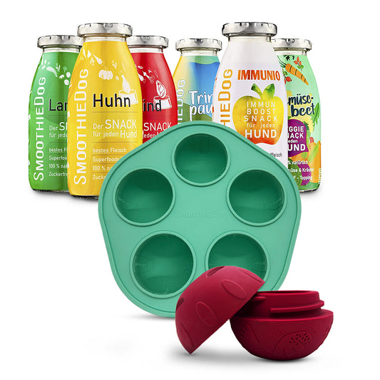 SmoothieDog Schleckball-Set: Im Vordergrund ist eine grüne Eisform aus Silikon mit fünf runden Mulden und ein roter, aufschraubbarer Schleckball für Hunde zu sehen. Im Hintergrund stehen sechs verschiedene SmoothieDog Flaschen mit bunten Etiketten – für jeden Hundegeschmack ist etwas dabei. Das Bild zeigt das Komplettset mit Smoothies, Form und Ball für eine abwechslungsreiche Beschäftigung.