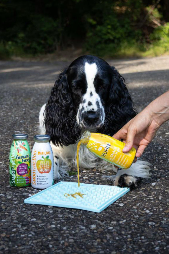 Lickimat Schleckmatte in Pastellmint für mittelgroße Hunde – strukturierte Matte zur Beschäftigung, ideal in Kombination mit SmoothieDog.