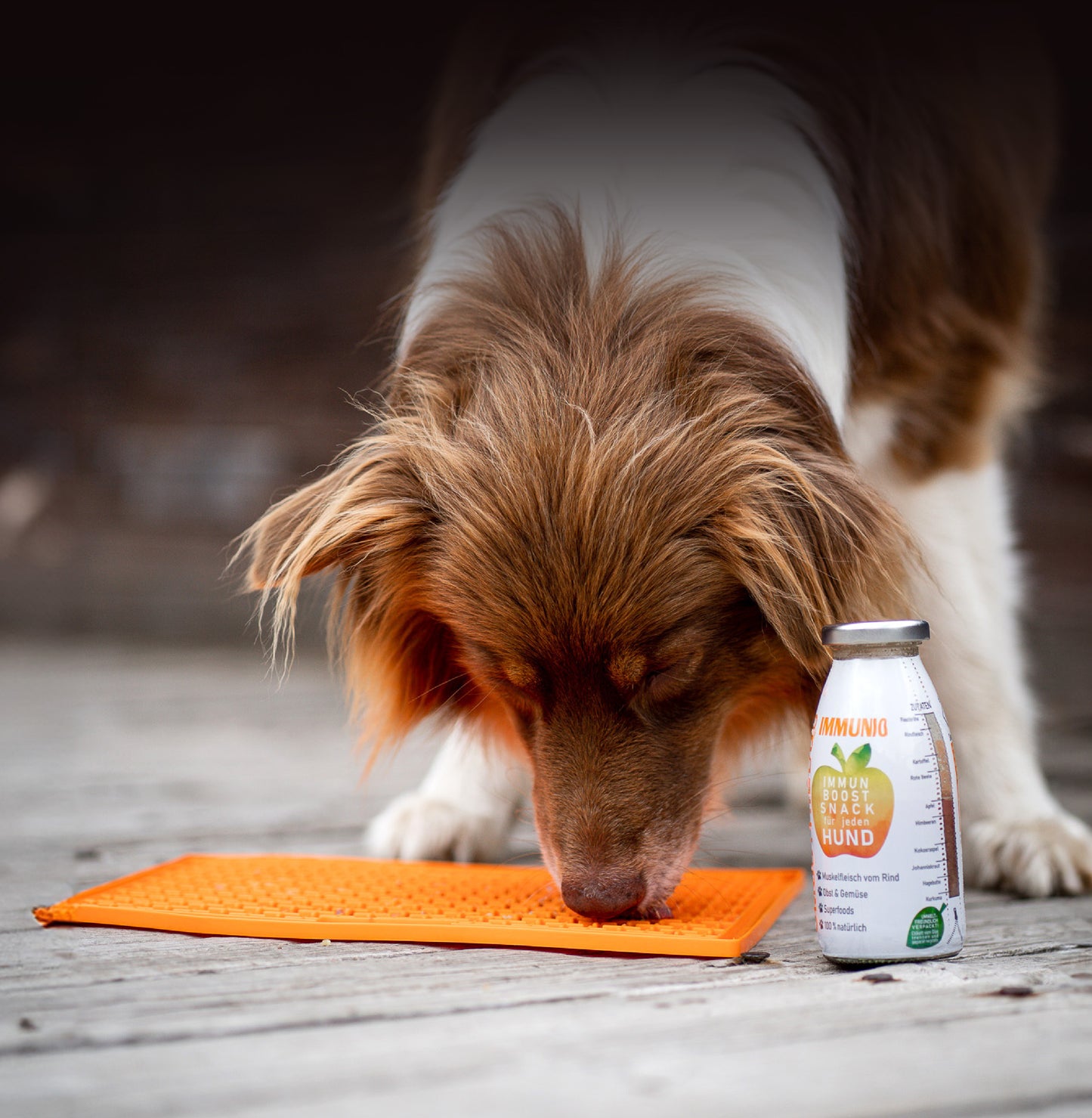 Hund schleckt eine orange LickiMat Buddy Large auf Holzterrasse aus, daneben steht eine Flasche SmoothieDog IMMUNIO mit Rindfleisch, Gemüse und Superfoods – eine leckere und gesunde Snack-Kombination für Hunde.