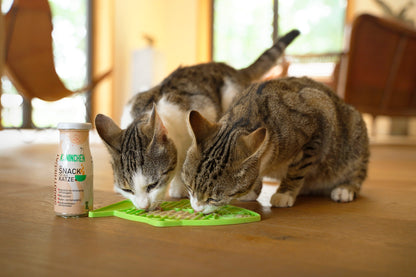 Schleckmatte Katze - LickiMat Casper