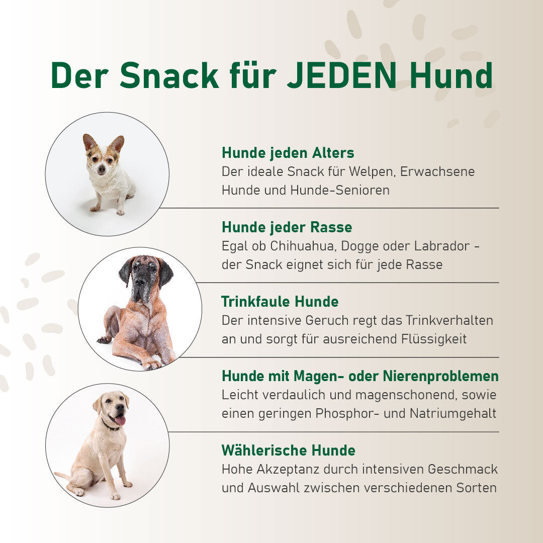 SmoothieDog Schleckball Für Hunde – Befüllbarer Snackball Aus Naturkautschuk, BPA-frei, Robust & Spülmaschinenfest Zum Einfrieren