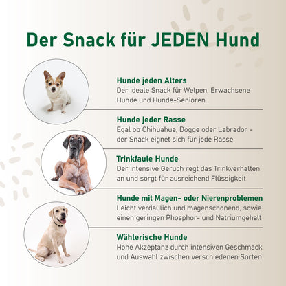 3er-Pack (3x 250ml.) 6er-Pack (6x 250ml.) 12er-Pack (12x 250ml.)