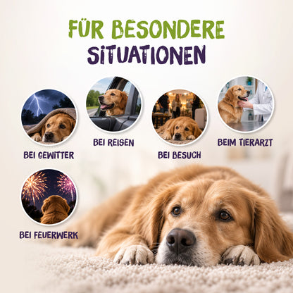 SmoothieDog Silvester-Bundle Sensitivo + Relaxio