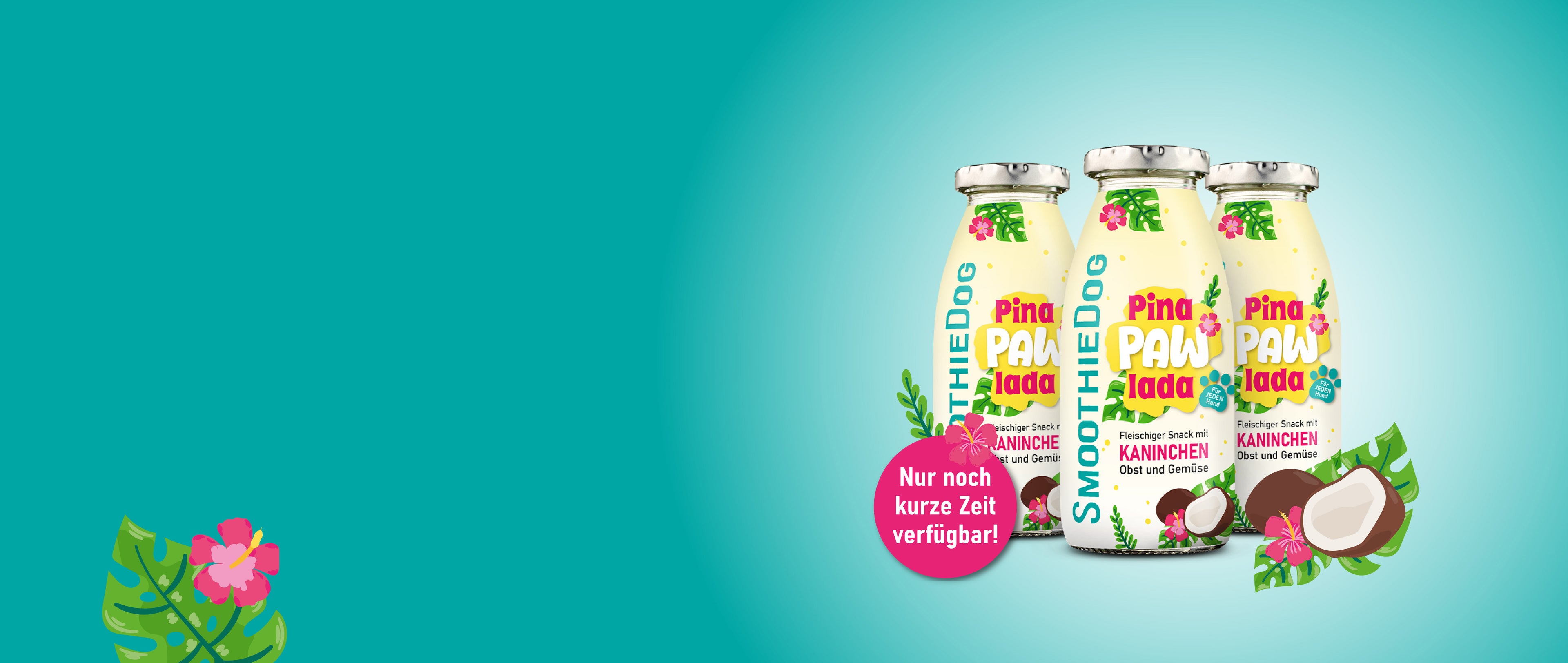 Drei SmoothieDog Pina Pawlada Flaschen sind auf einem türkisfarbenen Hintergrund zu sehen, dekoriert mit tropischen Blättern, Blüten und einer Kokosnuss. Auf einem pinken Kreis steht der Hinweis: „Nur noch kurze Zeit verfügbar!“. Die Summer-Edition ist als limitierter Snack für Hunde mit Kaninchen, Obst und Gemüse gekennzeichnet.