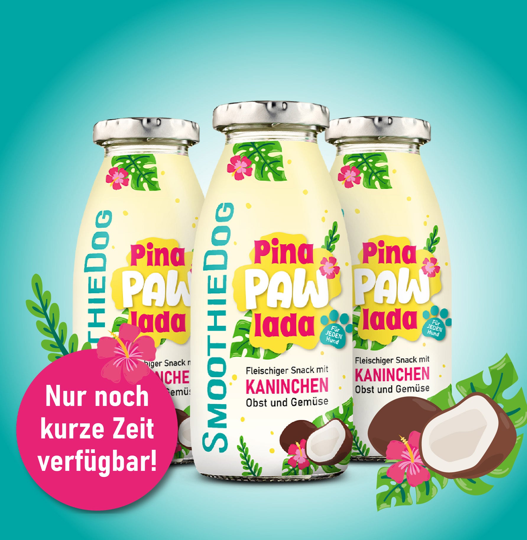 Drei Flaschen der limitierten SmoothieDog Summer-Edition „Pina Pawlada“ stehen im Vordergrund, verziert mit tropischen Pflanzen, Kokosnuss und Hibiskusblüten. Ein auffälliger pinker Kreis informiert: „Nur noch kurze Zeit verfügbar!“. Das Design richtet sich an Hundebesitzer, die sommerliche Abwechslung suchen.