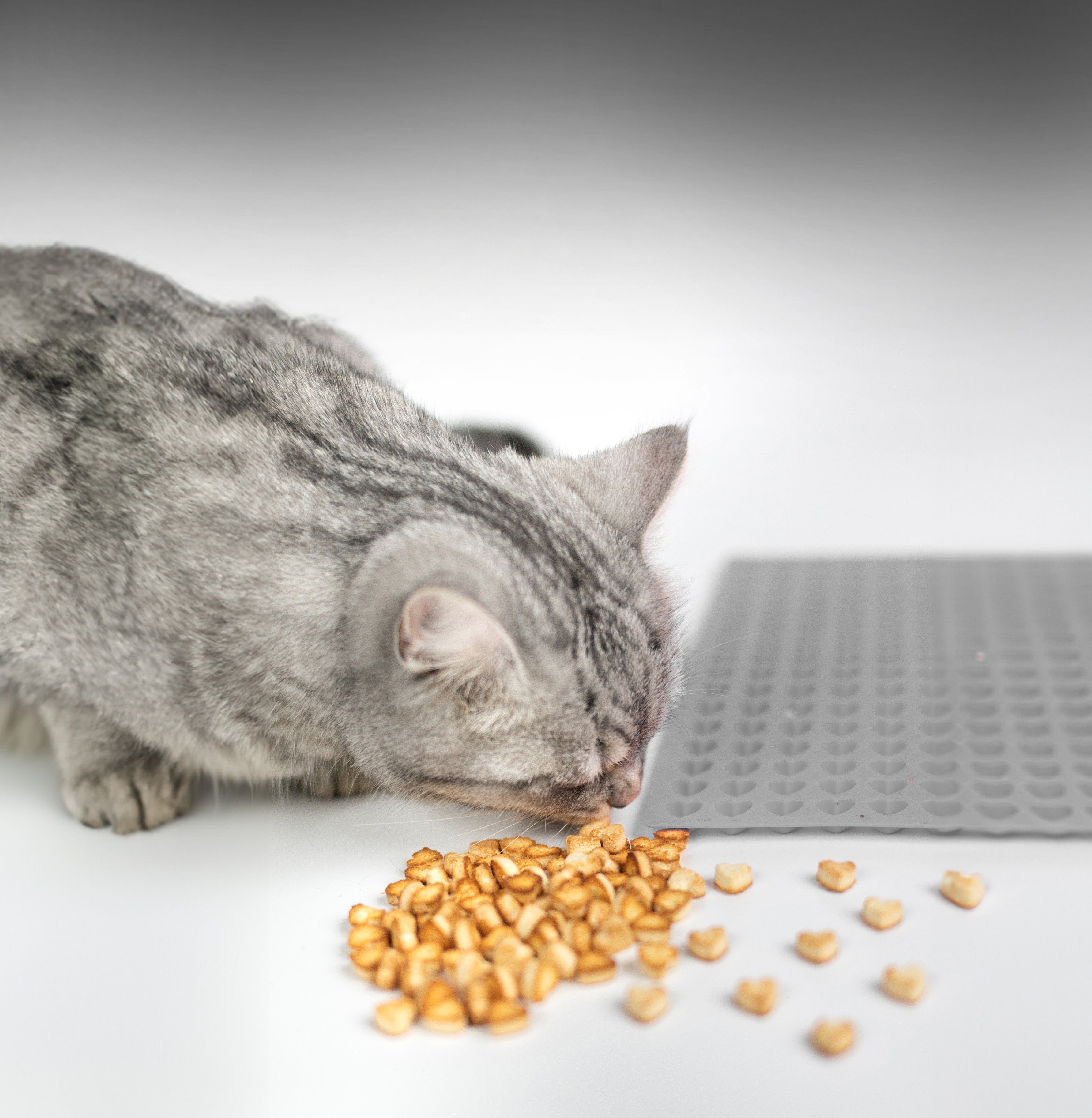 Eine silbergraue Katze leckt Körnchen von einem weißen Untergrund, neben ihr liegt eine leuchtend graue Silikon-LickiMat mit herzförmigen Mulden und verstreuten Maiskörnern.