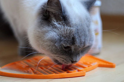 Katzensmoothie LickiMat Bundle