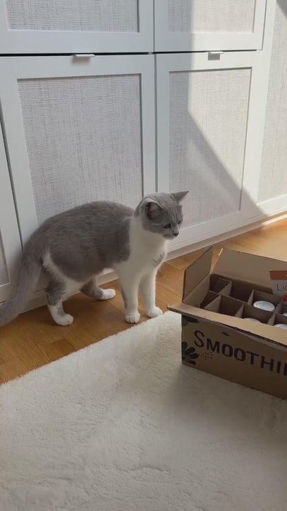 Katzensmoothie LickiMat Bundle