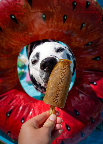 Ein Hund schleckt begeistert an einem herzförmigen Eis aus einer grünen Silikonform von SmoothieDog. Die Eisform wurde zuvor mit SmoothieDog befüllt und eingefroren. Perfekt für Sommer-Snacks, Beschäftigung und Belohnung.