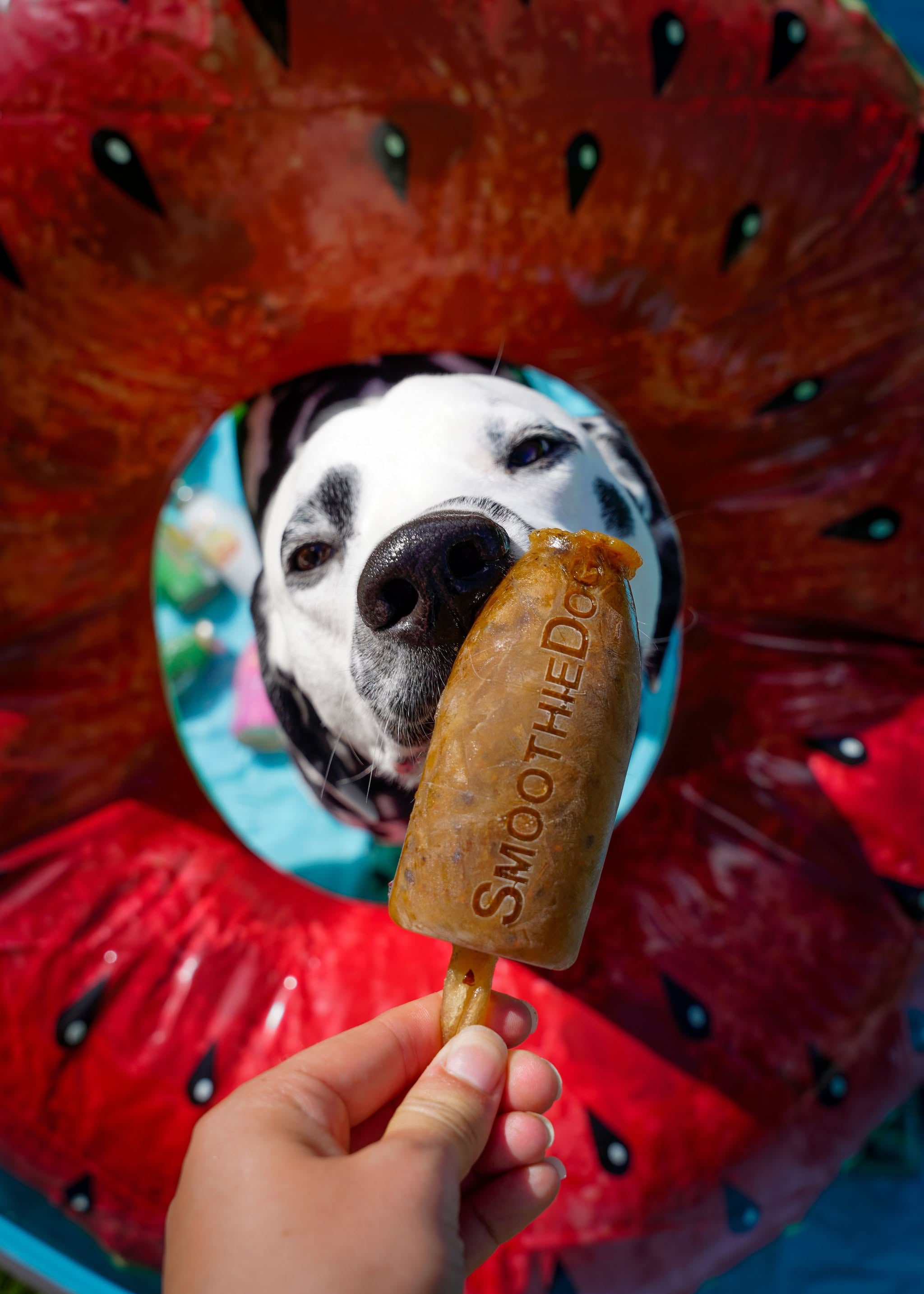 Ein Hund schleckt begeistert an einem herzförmigen Eis aus einer grünen Silikonform von SmoothieDog. Die Eisform wurde zuvor mit SmoothieDog befüllt und eingefroren. Perfekt für Sommer-Snacks, Beschäftigung und Belohnung.