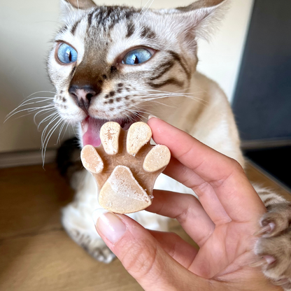 SmoothieCat Eiswürfelform