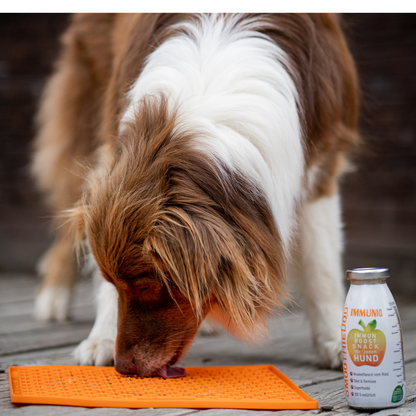 Hundesmoothie LickiMat-Large Bundle