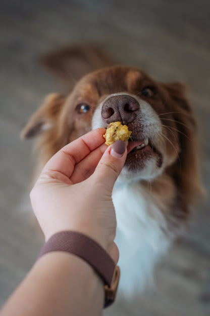 SmoothieDog Bites Huhn