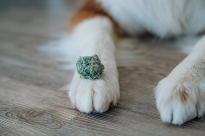 SmoothieDog Bites Lamm