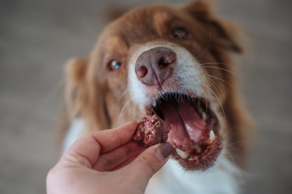 SmoothieDog Bites Rind