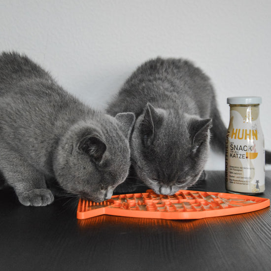 Das Video zeigt den Einsatz der Lickimat Casper - verfügbar in Orange und Grün - mit den Katzensmoothies von SmoothieDog.
