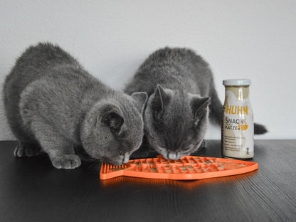 Das Video zeigt den Einsatz der Lickimat Casper - verfügbar in Orange und Grün - mit den Katzensmoothies von SmoothieDog.