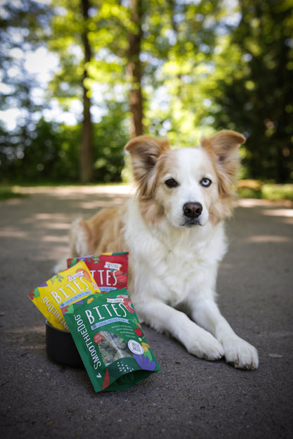 SmoothieDog Hundesmoothie & Bites Klassik Bundle