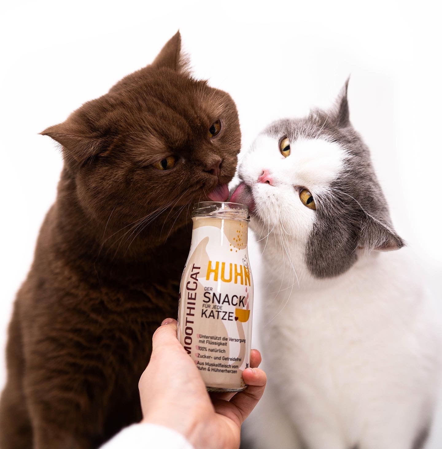 Video zeigt eine Flasche SmoothieCat Huhn mit animierten Textelementen, die die Vorteile des Katzensmoothies hervorheben: Unterstützt die Flüssigkeitsaufnahme, ist zucker- und getreidefrei sowie aus 100% natürlichen Zutaten mit hochwertigem Hühnerfleisch. Ideal für wählerische, sensible oder trinkfaule Katzen. Erhältlich als 3er-Pack (3x 150ml.), 6er-Pack (6x 150ml.) und 12er-Pack (12x 150ml.).