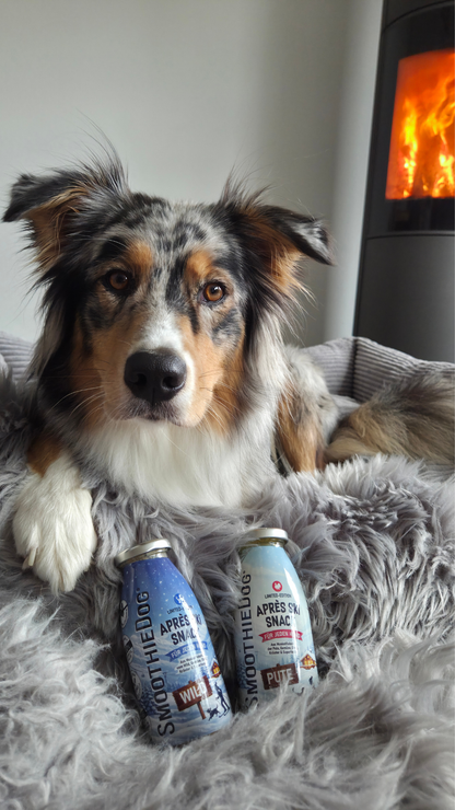 Produktvideo zur limitierten SmoothieDog Winter Edition 2026 in den Sorten Wild und Pute. Gezeigt werden die winterlichen Hundesmoothies als Après-Ski-Snack für Hunde, ihre natürlichen Zutaten sowie verschiedene Anwendungsmöglichkeiten als Snack, Trinkwasserzugabe oder Schleckbeschäftigung nach dem Winterspaziergang. Erhältlich als 3er-Pack (3x 250ml.), 6er-Pack (6x 250ml.) und 12er-Pack (12x 250ml.).