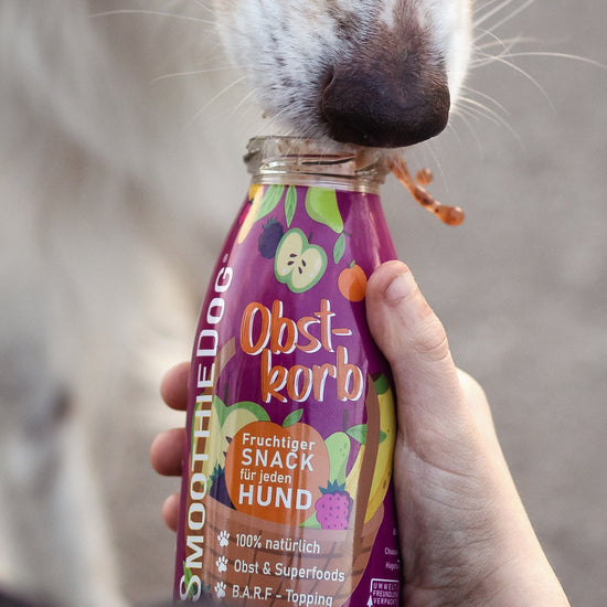 SmoothieDog Obstkorb im 3er-Pack (3x 250ml.), 6er-Pack (6x 250ml.) und 12er-Pack (12x 250ml.): Fruchtiger Hundesmoothie mit Apfel, Beeren und Banane – 100 % natürlich, ohne Zusätze. Perfekt als Snack, BARF-Topping oder für unterwegs.