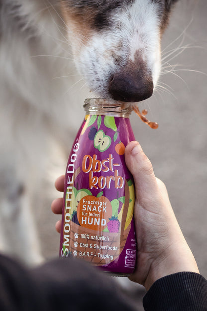 SmoothieDog Obstkorb im 3er-Pack (3x 250ml.), 6er-Pack (6x 250ml.) und 12er-Pack (12x 250ml.): Fruchtiger Hundesmoothie mit Apfel, Beeren und Banane – 100 % natürlich, ohne Zusätze. Perfekt als Snack, BARF-Topping oder für unterwegs.